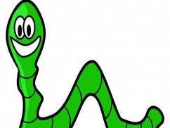 蚯蚓是如何运动的呢？八年级生物实验的探索和改进 让蚯蚓学习 更清晰