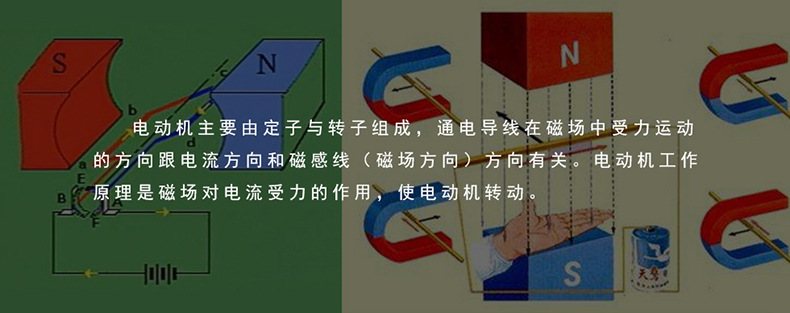 小型电动机模型J2418 中学物理电磁学教学仪器 可拆卸 学生DIY电能机械能转换演示器 第2张