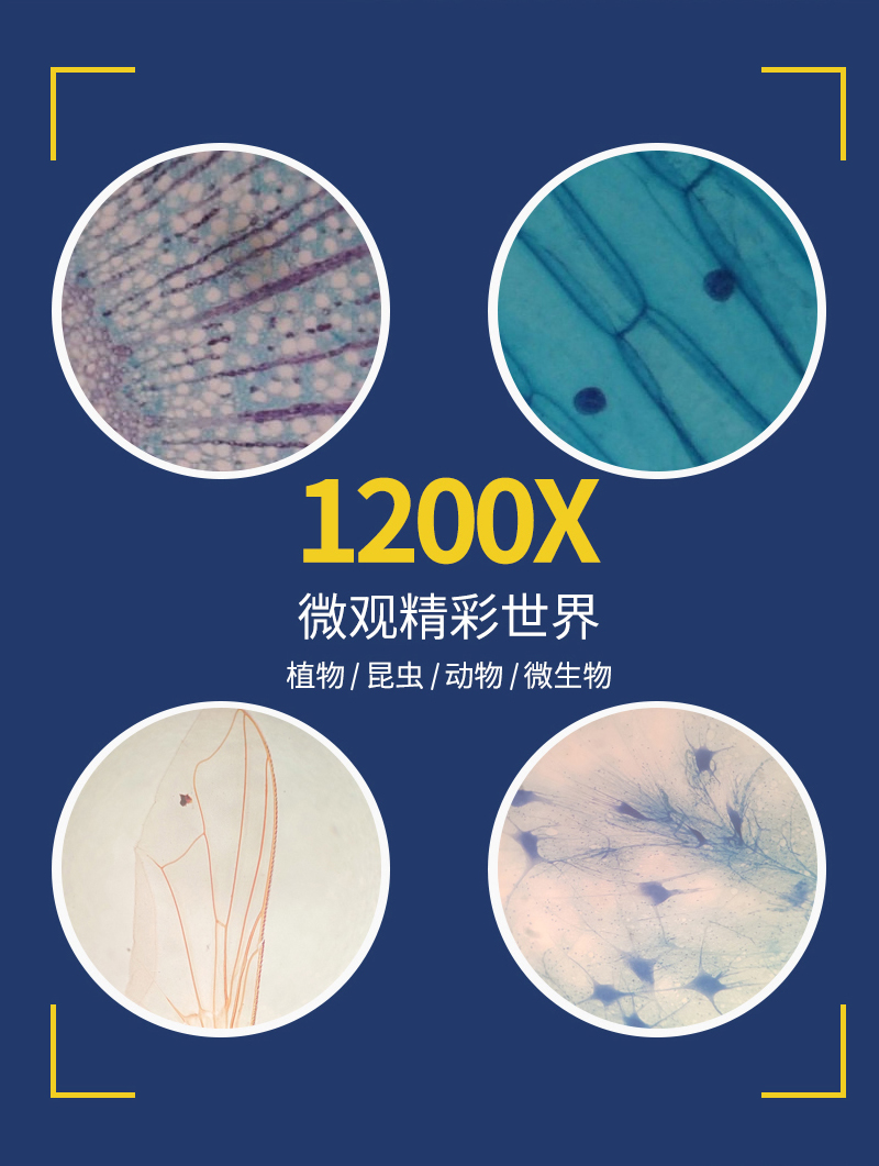 初一生物实验器材 初中生物显微镜 便携专用生物高清 家用生物小实验套装 第4张