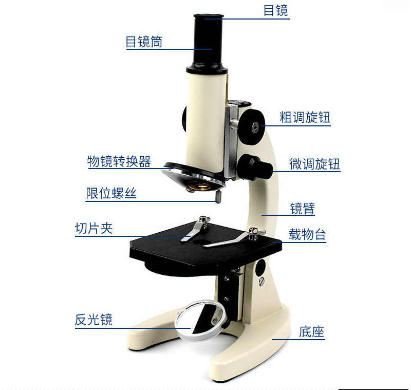 初二生物实验器材 7-8年级生物实验仪器 全套生物实验箱 科学教学设备 第3张