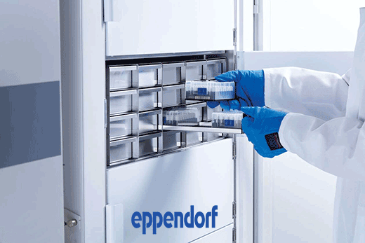 Eppendorf -86℃ ULT实验室冰箱U410 立式生物样品保存箱  第1张