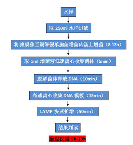 天然矿泉水中铜绿假单胞菌的分析 标准检测过程 及推荐相应的解决办法 第2张