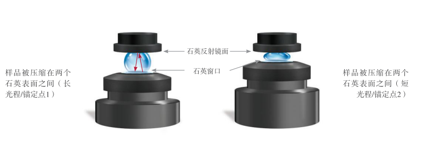 IMPLEN超微量光度计准确性与精确性如何保证？样品压缩技术凸显真功夫！ 第1张