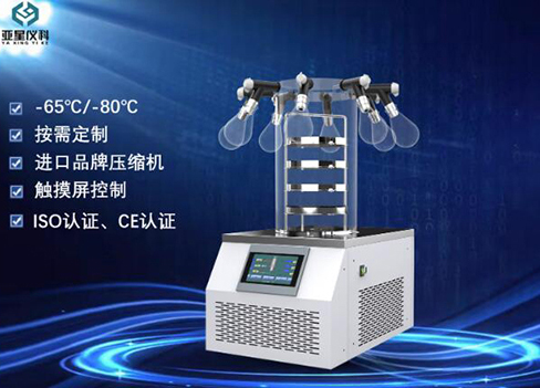 亚星仪科 LGJ-10N/C台式标准型冷冻干燥机 第1张