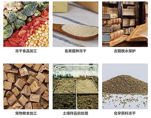 SCIENTZ-50YG/A 中试型硅油原位冻干机 第2张