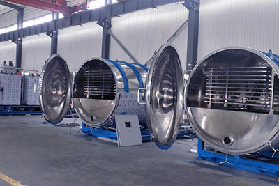 VIKUMER FD-30RS商业食品冷冻干燥机 第1张