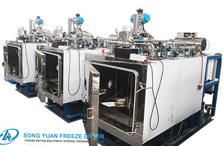 松源GZLYZ 15-20 医用冷冻干燥机 第1张