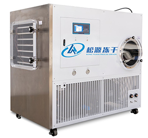 松源 LGJ-200F普通型硅油加热冻干机 第1张