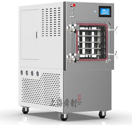 舜制SZFD-02 第1张