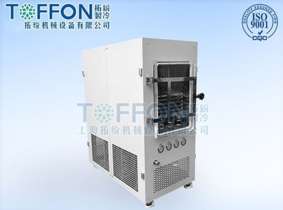 TOFFON 拓纷竹叶冻干机  智能鲜花冷冻干燥机 第1张