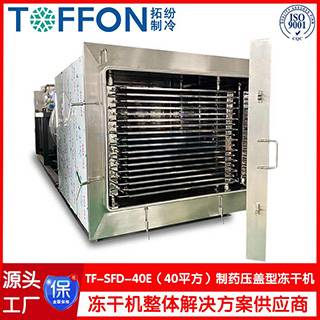 TOFFON 拓纷TF-SFD-40E 第1张