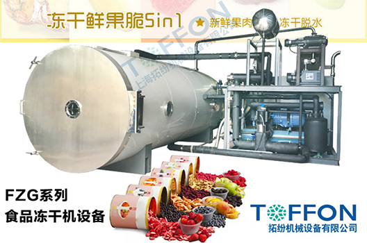 TOFFON 拓纷TF-FZG大型食品真空冷冻干燥机 第1张