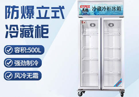 英鹏 BL-200LC500L 第1张