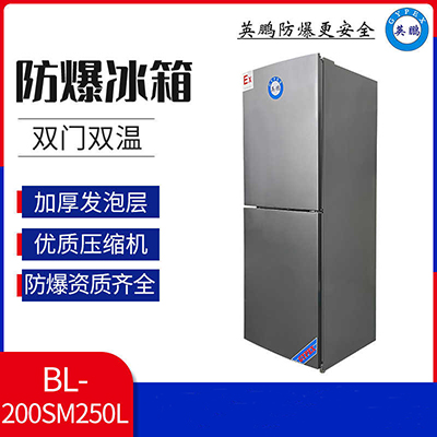 英鹏 BL-200SM250L双门防爆冰箱 可非标定制 第1张