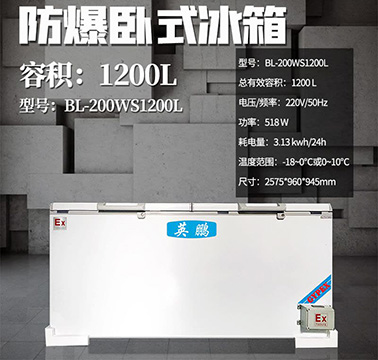 英鹏BL-200WS1200L 第1张