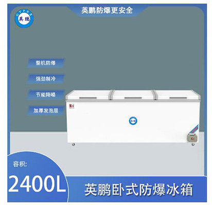英鹏 BL-200WS2400L 第1张