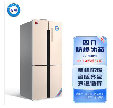 英鹏BL-480M4 第1张