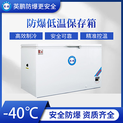 英鹏BL-400DW40W828 第1张