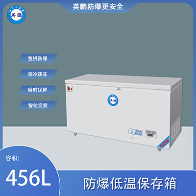 英鹏BL-400DW60W456 第1张