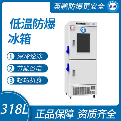 英鹏 BL-400SW288A 第1张