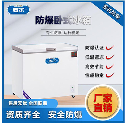 志尔BL-200/WS100L单开门卧式冷冻柜 非标定制设计 第1张
