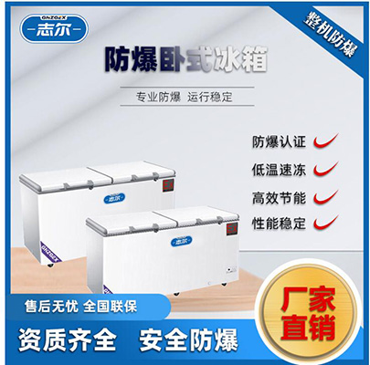 志尔BL910/WS500L 第1张