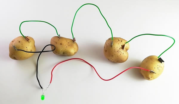 水果做电池见过吗？土豆发电靠谱吗？极具科学性和创意性的小礼物 第1张