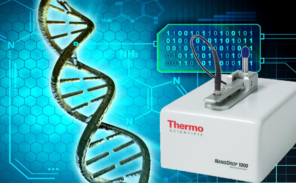 NanoDrop检测如何合理的控制DNA标本的质量 260/230值的意义 第1张