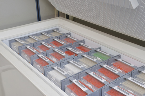 中科都菱卧式超低温冰箱 -86度医用保存箱 自复叠式制冷系统 温度均匀 第1张