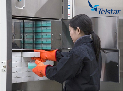Telstar ULT立式-86度超低温冷冻柜 容量370-830L不等 可满足客户不同需求 第1张