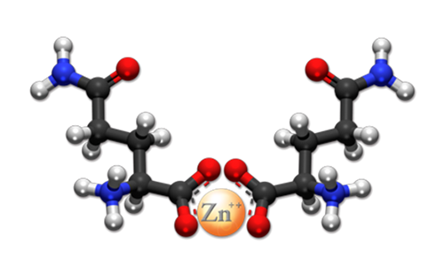 分光光度计测锌离子 Zinc ion 高效且准确 第1张
