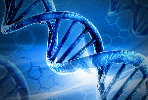 紫外分光光度计检测DNA浓度 需要注意哪些 第1张