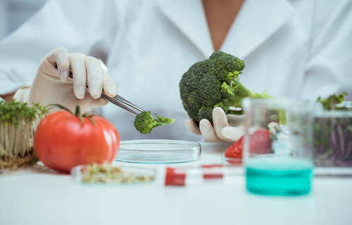 蔬菜农药残留检测用酶YZ法 分光光度计检测 保障蔬菜质量 第1张