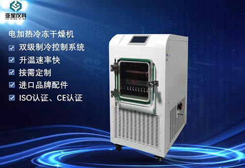 亚星仪科 LGJ-10FD标准型原位电加热冻干机 第1张